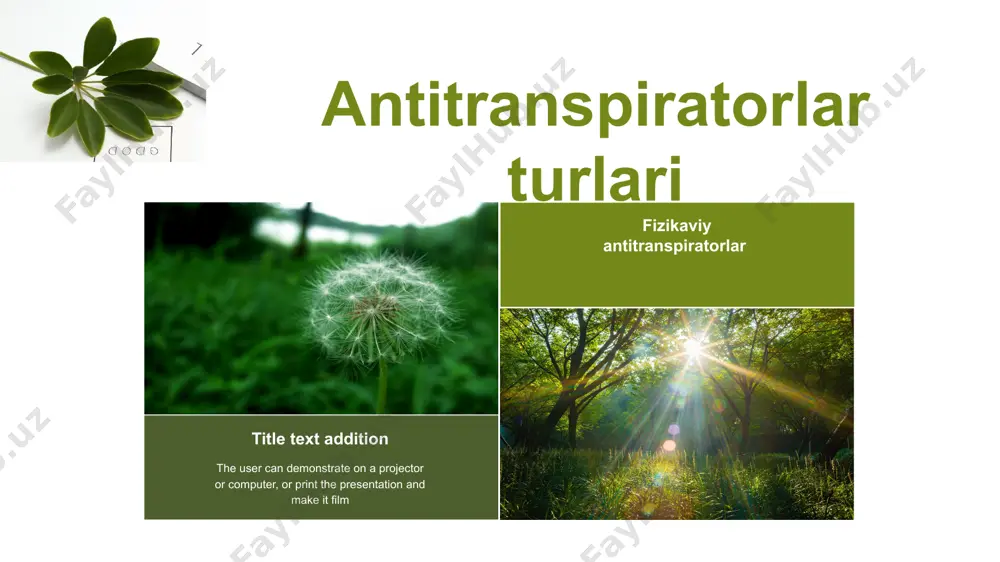 antitranspiratorlar va ularning ta'sir etish mehanizmlari - Page 4