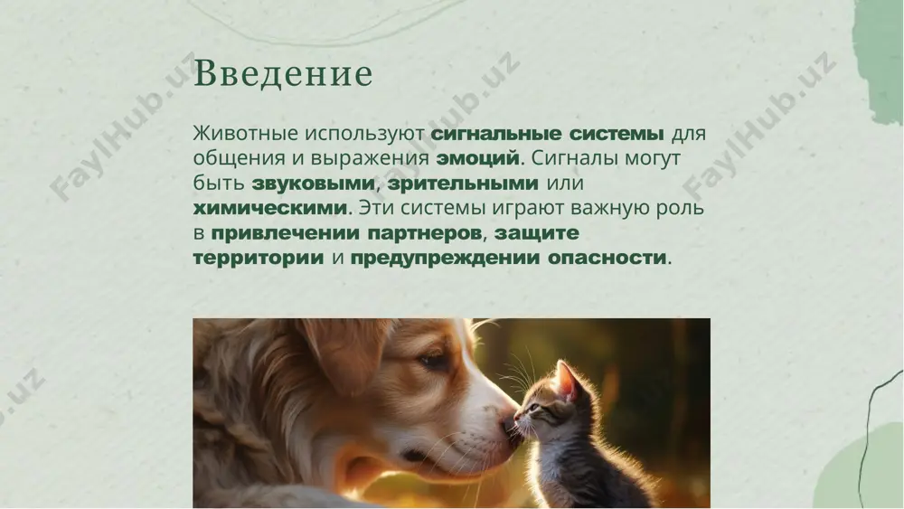 бны имитировать сигналы других видов для достижения своих целей. это стратегия, которая помогает им привлекать партнеров или избегать хищников. влияние человеческой деятельности человеческая деятельность, такая как шум и загрязнение, может негативно влиять на сигнальные системы животных, затрудняя их общение и выживание. защита сигнальных систем важно сохранять естественные среды обитания животных, чтобы обеспечить сохранение их сигнальных систем. это поможет поддерживать биоразнообразие и устойчивость экосистем. примеры из животного мира множество животных, начиная от насекомых и рыб и заканчивая млекопитающими и птицами, используют разнообразные сигнальные системы для выживания и размножения. сигнальные системы играют важную роль в жизни животных, помогая им общаться, выживать и размножаться. понимание этих систем важно для сохранения природной среды и биоразнообразия. заключение спасибо за внимание image2.png image1.png image3.png image4.jpg image5.png image6.jpg image7.jpg image8.jpg image9.jpg image10.jpg image11.jpg image12.png image13.jpg image14.jpg image15.jpg image16.jpg image17.jpg image18.jpg image19.png image20.png