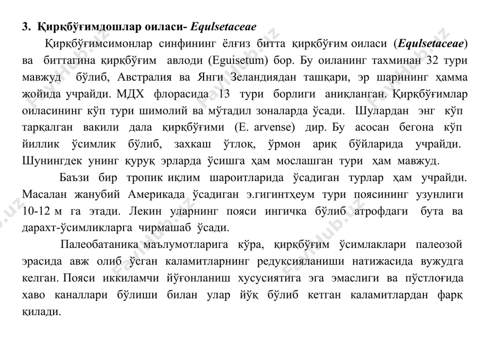 сида пайдо бўлгунча уч йил ўтади. қирққулоқнинг пояси эпидермис билан қопланган, унинг остига ташқи ва ички қисмлардан иборат пўстлоқ жойлашади. ташқи пўстлоқ ҳужайралари мустаҳкамлик бериш вазифасини ҳам ўтайди. поя тўқимасида турлича катталикда ўтказувчи боғламлар бўлади. бирмунча йўғонроқ боғламлар поянинг ўртасида ҳалқасимон ҳолда поя бўйлаб жойлашади. майда боғламлар эса аниқ тартибда бўлмай, улар поядан япроғ бандига томон йўналади. ҳамма боғламлар ёпиқ ва маълум даражада юмалоқроқ бўлади. ҳар бир боғлам пўстлоқдан аниқ билиниб турадиган эндодерма билан ажралиб туради. эндодермадан ичкарида бир –икки қаватли peritsikl жойлашади, ундан кейин флоема келади, у элаксимон найлар ва луб паренхимадан иборат. боғламнинг марказида ксилема жойлашади. қирққулоқ япроғи устки ва остки эпидермис билан ўралган, унинг ҳужайраларида хлорофилл доначалари бор. япроғнинг пастки эпидермисида уститсалар кўп. япроғ мезофилида ҳужайралараро бўшлиғи кўп. япроғ бўйлаб жуда кўп томирланиш ўтади. улар поядаги майда боғламлар тузилишига, япроғ бандининг ички тузилиши поянинг анатомиясига ўхшайди. илдизининг ташқи томонидаги эпидермисдан кейин ички мустаҳкамлик вазифасини бажарувчи ва ташқи …