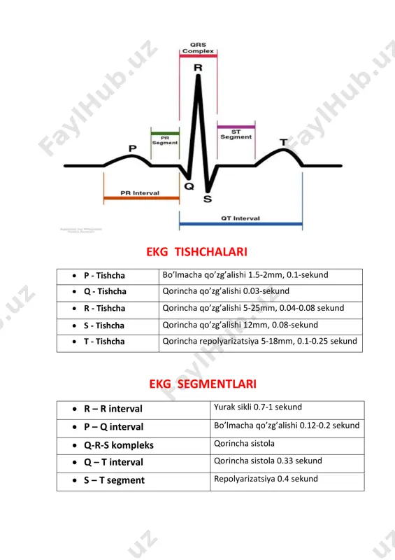 ekg standart tarmoqlari va ko'krak tarmoqlari - Page 4