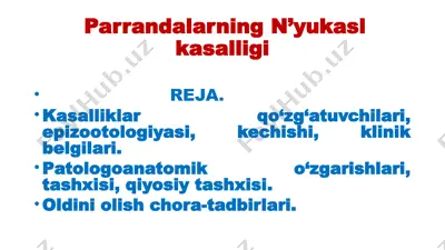 n’yukasl kasalligi — PPTX