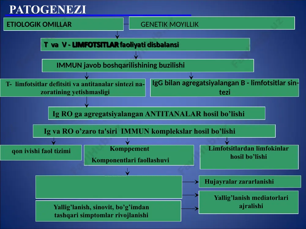 oporozi ii - osteoporoz + bo’g’imlar aro tirqishni torayishi, yakka eroziyalar bo’lishi mumkin iii – ii bosqich + eroziyalarning ko’pligi + bo’g’imlarda yarim chiqishlar iv – iii bosqich + suyak ankilozi 6.qo’shimcha immunologik xarakteristika - antitsitrullin antitelalar: atssp - pozitiv atssp - negativ 7. funksional sinf: i – to’liq saqlangan: o’z-o’ziga xizmat qilish, professional bo’lmagan i professional mexnatga layoqatlik ii - saqlangan: o’z-o’ziga xizmat qilish, professional mexnatga layoqatlik; cheklangan: professional bo’lmagan mexnatga layoqatlik iii - saqlangan: o’z-o’ziga xizmat qilish; chegaralangan: professional bo’lmagan va professional mexnatga layoqatlik iv - chegaralangan: o’z-o’ziga xizmat qilish, professional bo’lmagan i professional mexnatga layoqatlik 8. asoratlari: 1. ikkilamchi sistem amiloidoz 2. ikkilamchi artroz 3. osteoporoz (sistem) 4. osteonekroz 5. tunnel sindromlar (karpal kanal sindromi, tirsak nervi va n. tibialis ni bosilish sindromlari) 6. atlanto-aksial bo’g’im yarim chiqishi, mielopatiya bilan birga, umurtqa pog’onasini bo’yin qismininostabilligi 7. ateroskleroz tirsak bo’g’imi soxasida teri osti revmatoid tugunchalari “oqqush bo’yni” ko’rinishidagi …