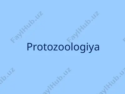 protozoologiya — PPTX