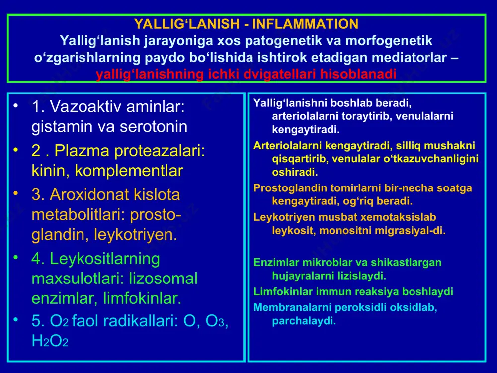 belgilari o‘pka, miliar sil tugunlari o‘pka, sil tugunchasi yurak, revmatik tuguncha yot tanachalar atrofidagi yalligʻlanish sut bezi, gel atrofidagi skleroz sut bezi, silikon atrofidagi skleroz polip va kandilomali yalligʻlanish me’da, poliplar (makro-) me’da, polit (mikro-) spesifik yallig‘lanish belgilari 1. xar bir maxsus yallig‘lanish turining o‘z qo‘zg‘atuvchisi bo‘ladi. 2.spesifik yallig‘lanishda proliferativ to‘qma reaksiyasi ustun turadi va xar xil kasallikka xos granulemalar paydo bo‘ladi. 3.nekroz kelib chiqadi: agar to‘qimada alterativ reaksiya ustun bo‘lsa, granulema shakllanmasdan oldin birlamchi nekroz yuzaga keladi. 4.klinik-morfologik jixatdan xilma-xildir. 5.spesifik yallig‘lanish surunkali tarzda to‘lqinsimon kechadi. spesifik yallig‘lanish turlari sil kasalligida yallig‘lanish o‘chog‘larida 3 xil to‘qima reaksiyalari kuzatiladi: alterativ (kazeoz, kollikvasion nekroz), ekssudativ va produktiv. ular aloxida maxsuslikka ega bo‘lib, sil kasalligi granulemasini paydo qiladi. granulema markazida detrit-nekroz, atrofida epitelioid xujayralar xalqa ko‘rinishida joylashadi, undan chekkaroqda limfositlar plazmositlar, makrofagler o‘rin oladi. sil kasalligi granulemasiga xos narsa, bu gigant xujayralar uchrashilir, u piragov-lagans (muallifi) xujayrasi deyiladi. zaxm kasalligida xar bir …