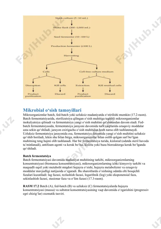 optimal ekanligini aniqlash juda muhimdir. umuman olganda, katta miqyosli fermentatsiya va mahsulotni tozalash bosqichma-bosqich jarayonlardir (17.1-rasm). oddiy protsedura o‘sish muhitini tayyorlash va sterilizatsiya qilish, shuningdek, fermentatsiya uskunalarini sterilizatsiya qilishdan boshlanadi. hujayralar avval zaxira madaniyati sifatida (5-10 ml) o‘stiriladi, keyin titrash kolbasida (200-1,000 ml), so‘ngra urug‘lik fermentatorida (10-100 litr) o‘stiriladi. nihoyat, ishlab chiqarish fermentatori (1,000-100,000 litr) inokulyatsiya qilinadi. fermentatsiya bosqichi tugagach, hujayralar madaniyat suyuqligidan markazlashtirish yoki filtratsiya yordamida ajratiladi. agar mahsulot hujayra ichida bo‘lsa, hujayralar buziladi, hujayra qoldiqlari olib tashlanadi va mahsulot qoldiqsiz suyuqlikdan qayta olinadi. agar mahsulot ekstrasellyular bo‘lsa, u hujayrasiz madaniyat suyuqligidan tozalanadi. rasm 17.1 katta miqyosli fermentatsiya jarayonining umumlashtirilgan sxemasi. tijorat mahsuloti odatda yoki hujayra fractionida, yoki hujayrasiz fractionida bo‘ladi, lekin ikkalasida ham bo‘lmaydi; natijada, ushbu fractionlardan biri keyingi jarayonlarga o‘tkaziladi (+) yoki chiqib ketadi. mikrobial o‘sish tamoyillari mikroorganizmlar batch, fed-batch yoki uzluksiz madaniyatda o‘stirilishi mumkin (17.2-rasm). batch fermentatsiyasida, sterilizatsiya qilingan o‘sish muhitiga tegishli mikroorganizmlar inokulyatsiya qilinadi va …