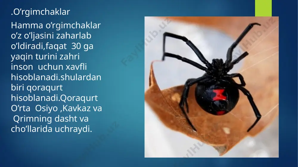 kasalliklar terlama tulyaremiya ensefalit e’tiboringiz uchun rahmat!!!! image6.png image7.jpeg image8.jpeg image9.png image10.png image11.jpeg image12.jpeg image13.jpeg image14.jpeg image15.jpeg image16.jpeg image17.png image18.jpeg image19.jpeg image20.jpeg image21.jpeg image22.jpeg image23.jpeg image24.jpeg image25.jpeg image26.jpeg image27.jpeg image2.png image3.png image4.png image5.png /docprops/thumbnail.jpeg