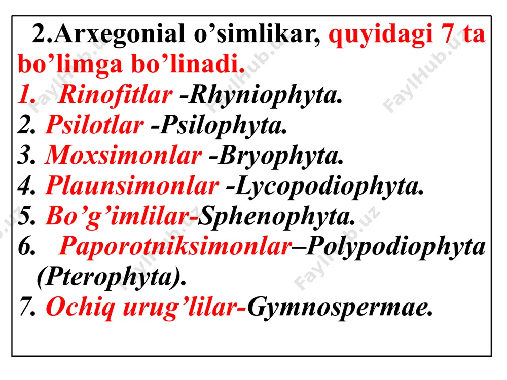 g tarqalgan. yura davrida barq urib rivojlangan. «живое ископаемое» дерево гинкго двулопастное (ginkgo biloba l.) qarag‘aylarning 560 turi mavjud bo‘lib, 55 turkum va 10 ta oilaga bo‘linadi. qarag‘aylar oilasi bu oilaga quyidagi turlar kiradi: oddiy qarag‘ay, qoraqarag‘ay , tilog‘och , oq qarag‘ay - pixta, barglari qisqa ninasimon bo‘lib, mutovka shaklida yoki juft bo‘lib joylashadi. ildizi yaxshi rivojlangan bo‘lib, yon ildizlar hosil qiladi. qarag‘ay bir uyli ayrim jinsli o‘simlikdir. • qarag‘ay tabiatda keng tarqalgan bo‘lib, bo‘yi 50 m balandlikka yetadi, 400 yil hayot kechiradi. sporafill erkak va urg‘ochi qubbada hosil bo‘ladi. qubbalar bitta o‘simlikda joylashadi. uzunligi 4-5 sm, diametri 3-4 sm bo‘lib, unda spiral ravishda mikrosporofill joylashgan bo‘lib, chang hosil qilishga xizmat qiladi. • mikrosporofill tuxumsimon shaklda bo‘lib, unda mikrospora hosil bo‘ladi. mikrospora bir yadroli, tashqi tomondan intina va ekzina qavati bilan o‘ralgan bo‘lib, yonida 2 ta to‘rsimon havo pufakchasini hosil qiladi. mikrosporaning unishidan erkak gametofit - chang hosil bo‘ladi. mikrospora …