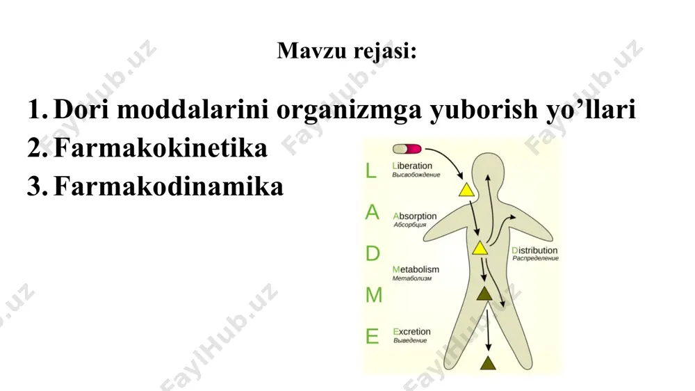 yuborish usullari - oshqozon-ichak traktini chetlab oʻtib, moddalarni kiritish. koʻp qoʻllaniladigan parenteral yuborish usullari - tomir ichiga, teri ostiga, mushak orasiga. vena ichiga yuborilganda preparat darhol qon oqimiga kiradi; moddaning ta‘siri tez vujudga keladi, odatda 1-2 daqiqa ichida. qonda dori moddalarining yuqori miqdordagi konsentratsiyasini yaratmaslik uchun , vena ichiga yuborishdan oldin koʻpgina dorilar 10-20 ml izotonik (0,9%) natriy xlorid eritmasida yoki glyukozaning izotonik (5%) eritmasida eritiladi(suyultiriladi) va asta-sekin yuboriladi. farmakokinetika farmakokinetika––dorivor moddalarning soʻrilishi, taqsimlanishi, depolanishi, oʻzgarishi va ajratilishidir. bu jarayonlaning barchasi dorivor moddalarning hujayra(sitoplazmatik) membranasi orqali oʻtishiga bogʻliq. moddalarning hujayra devori orqali oʻtishining asosiy usullari: passiv diffuziya, filtrasiya, aktiv transport, yengillashgan diffuziya, pinositoz. farmakokinetika passiv diffuziya –dori moddalarining membrana orqali konsentratsiya gradientiga muvofiq boshqa joyga oʻtishi (agar membrananing bir tomonida modda konsentratsiyasi boshqa tomonga qaraganda yuqori boʻlsa, modda membrana orqali past konsentratsiyali tomonga oʻtadi). farmakokinetika filtrasiya.hujayra membranasida suv kanallari(suv oʻtkazuvchi teshiklar) bor, u orqali suv va suvda eriydigan gidrofil polyar …