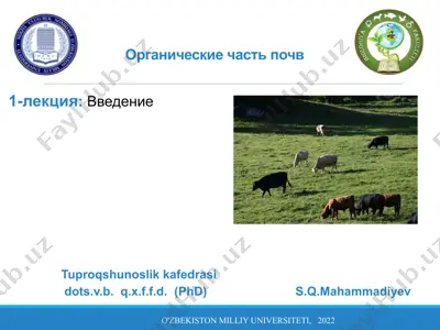 органические части почв — PPTX