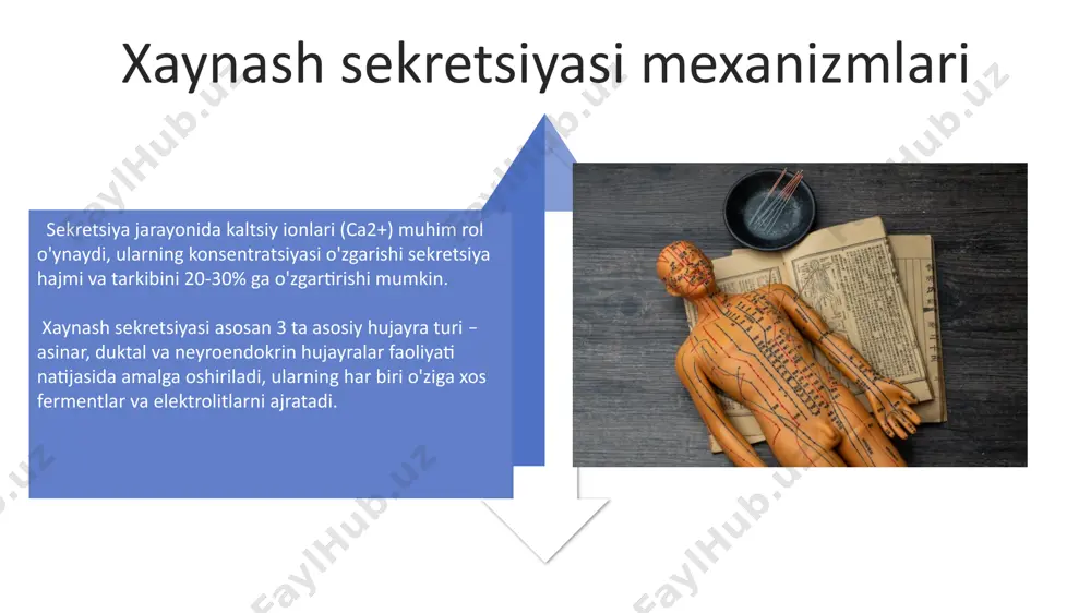 gacha bo'lgan maydonidan to'qima namunalarini olish imkonini beradi va keyinchalik gistopatologik tekshiruv uchun yuboriladi. e'tiboringiz uchun rahmat @taqdimot_robot image4.jpg image5.jpg image6.jpg image7.jpg image8.jpg image9.jpg image10.jpg image11.jpg image12.jpg image13.jpg image14.jpg image15.jpg image16.jpg image17.jpg image1.jpeg image2.jpeg