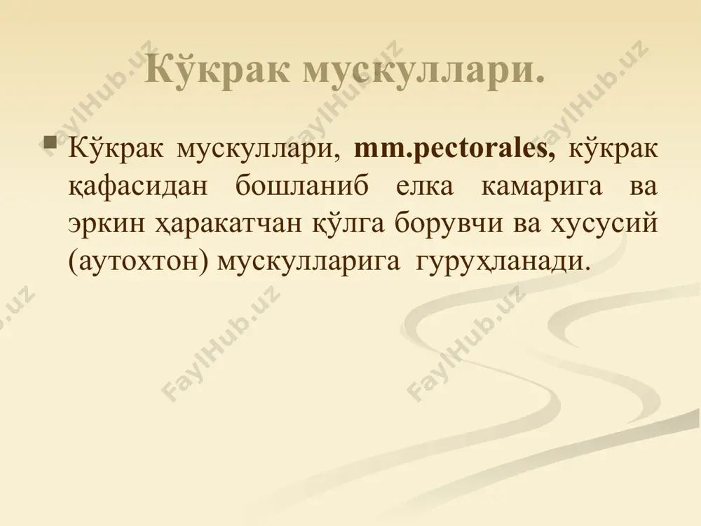 iafragma қорин мускуллари. қорин мускуллари ён, олдинги ва орқа гуруҳ мускулларига бўлинади. қориннинг ён гуруҳ мускуллари, бир бирининг устида ётувчи сербар мускуллардир. уларнинг апоневрозлари биргаликда қориннинг тўғри мускули қинини ва қориннинг оқ чизиғини ҳосил қилади. 1.m.obliquus externus abdominis – қорининнг ташқи қийшиқ мускули. қорин ён деворининг энг юза мускулидир. бу мускул кўкрак қафасининг ён юзасидан пастки 8 та қовурғадан 8 та тиш ҳосил қилиб бошланади. унинг толалари юқоридан пастга ва медиал томонга йўналади. қорин ташқи қийшиқ мускулининг орқа тутамлари ёнбош суяги қиррасига ёпишади. қолган қисми эса кенг апоневрозга айланади. мускул апоневрози қарама-қарши мускул апоневрози билан битишиб кетади. 1. qorinning tsahqi qiyshiq mushagi қорин мускуллари. қориннинг ташқи қийшиқ мускулининг апоневрози ёнбош суягидаги spina iliaca anterior superior дан қов суягидаги tuberculum pubicum гa тортилади. бу қисм сунъий равишда бошқа жойлардан ажратилиб, lig. inguinale чов бойлами дейилади. чов бойлами чов каналининг пастки девори ҳисобланади. чов бойлами медиал томондаги ёпишадиган жойида ичкарига яъни пастга …