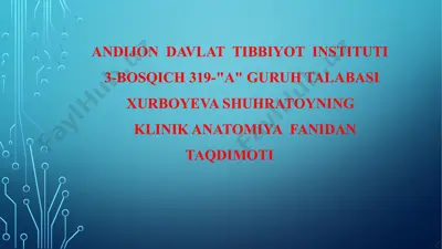 klinik anatomiya fanidan taqdimot — PPTX