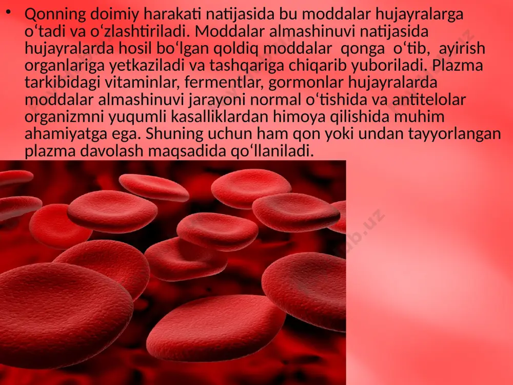 qonning tarkibi va shaklli elementlari. 8 - sinf - Page 5