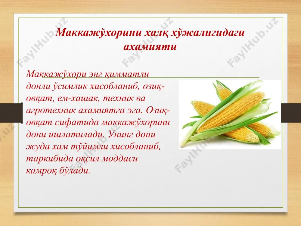 сида 10 апрелда экилади. умуман ҳар бир вилоят шароитида чигитни экиш бошлангунча маккажўхорини экишни тамомлаш керак. маккажўхори кечки муддатларда экилганда уни ҳосили анча пасаяди. маккажўхори навига, тупроқ унумдорлигига қараб 3-6 марта суғорилади. 1-2 сув ўсимлик тўпгул чиқармасдан олдин барилади. тўпгул чиқариш ва дон етилиш даврида маккажўхорини сувга талабчанлиги ортади ва бу даврда тез-тез суғориб туриш керак. дон учун экилган маккажўхори гуллаш даврида қўшимча суньий равишда чанглантирилади. маккажўхорини такрорий экин сифатида экиш маккажўхорини такрорий экин сифатида кузги экинлардан бўшаган ерларга экиш алохида ўрин тутади. бу холда кузги экинлар тез муддатда йиғиб олинади, ер экишга тайёрланади ва уруғ экилгандан сўнг суғорилади. умуман маккажўхори такрорий экин сифатида экилганда унинг агротехникаси бахорда экилгандагига нисбатан кам фарқ қилади. фақат маккажўхорининг эрта пишар нав ва дурагайлари экилиши керак. ўзбекистонда хозирги вақтда перекоп тв ва ўзбекистон-306 мв эртапишар дурагайлари экилмоқда. бу дурагайлар такрорий экин сифатида экилганда 35-50 центнергача дон беради. дон учун экилган маккажўхори дони тўла пишганда, …