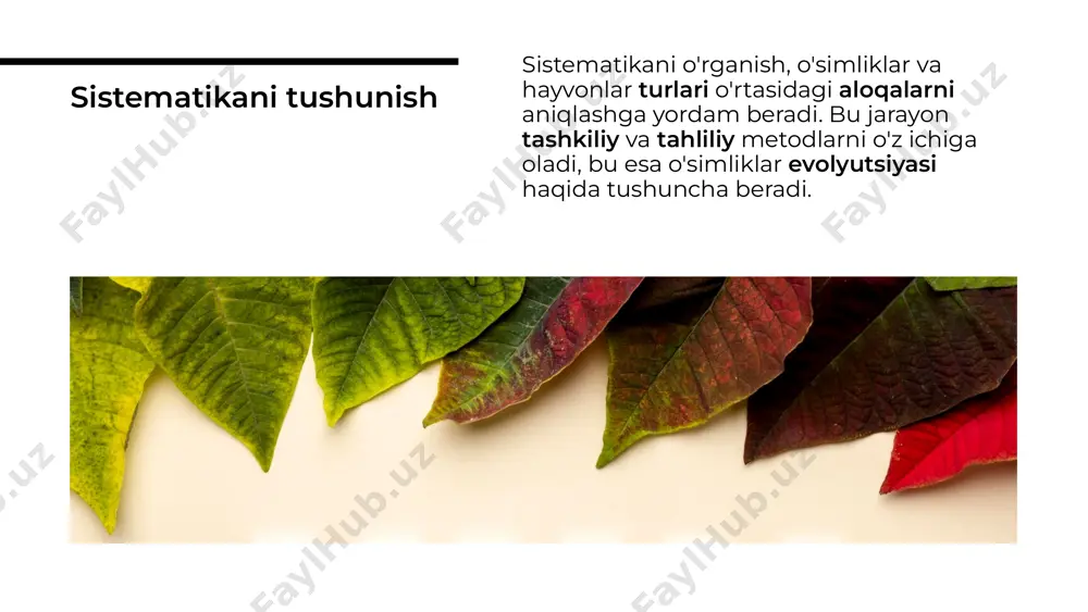 soya sistematikasi va marfalogiyasi - Page 3