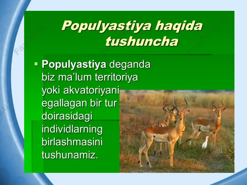 populyatsiyalar ekologiyasi - Page 3