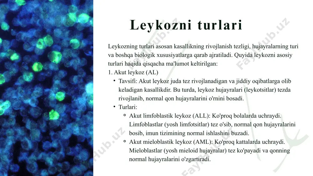 ishi va leykozni rivojlantirishi mumkin. leykozni rivojlanish sabablari leykozni davolash usullari kimyoterapiya tavsifi: kimyoterapiya — leykozni davolashda eng keng tarqalgan usul bo'lib, bu usulda organizmga zararli ta'sir ko'rsatadigan kimyoviy moddalar yordamida leykotsitlarning o'sishini to'xtatish yoki kamaytirish maqsad qilinadi. kimyoterapiya dori vositalari: sitostatiklar — hujayra bo'linishini to'xtatadigan dorilar. alkilantlar va antimetabolitlar — hujayralarda dnk va rnk ishlab chiqarilishiga ta'sir qiladigan dorilar. qo'llanilishi: akut leykoz va ba'zi xronik leykoz turlarini davolashda asosiy usul sifatida ishlatiladi. kimyoterapiya ko'pincha kombinat qilib, bir nechta dori vositalari bilan amalga oshiriladi. radioterapiya tavsifi: radioterapiya — yuqori energiyali nurlardan foydalanib, leykozni keltirib chiqaradigan o'smalarni yo'q qilish yoki ularni kichraytirish usulidir. qo'llanilishi: radioterapiya ko'proq lokalizatsiyalangan leykozda, masalan, limfoma yoki bosh miya leykozi holatlarida qo'llaniladi. ba'zan radioterapiya kimyoterapiya bilan birga ishlatiladi. leykozni davolash usullari target terapiya (maqsadli terapiya) tavsifi: target terapiya — kasallikning aniq genetik mutatsiyalariga yoki molekulyar yo'llariga ta'sir qiladigan dorilar yordamida leykozni davolash usulidir. bu usulda, kasallikni rivojlantiruvchi …