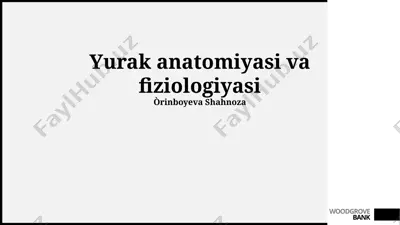 yurak anatomiyasi va fiziologiyasi — PPTX
