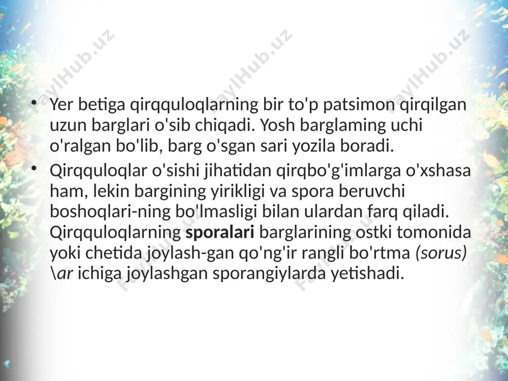 qirqquloqlar bo'limi. 6 - sinf - Page 5