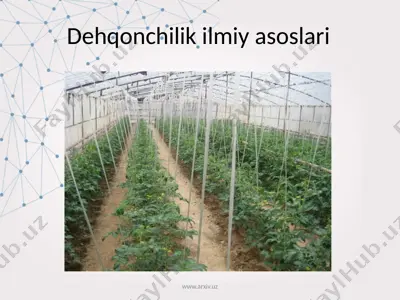 dehqonchilik ilmiy asoslari — PPTX