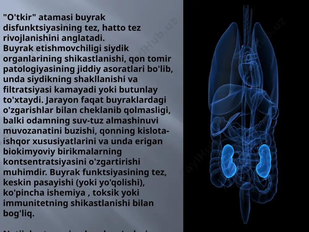 ar (sepsis) paytida shok, og'ir allergik reaktsiyalar, ba'zi dorilarning haddan tashqari dozasi. suvsizlanish: kuchli qusish, diareya, kuyish, diuretiklarning haddan tashqari dozasini qo'llash. siroz va boshqa jigar kasalliklari: bu venoz qonning chiqishini buzadi, shish paydo bo'ladi va yurak-qon tomir tizimining ishlashi va buyraklarga qon ta'minoti buziladi. buyrak. buyrak to'qimalarining patologiyasi bilan bog'liq. buyrak etarli miqdorda qon oladi, lekin siydik ishlab chiqara olmaydi. zaharlanish: kundalik hayotda va sanoatda zaharli moddalar, ilon chaqishi, hasharotlar chaqishi, og'ir metallar, ba'zi dorilarning haddan tashqari dozalari. qon oqimiga tushgandan so'ng, toksik modda buyraklarga etib boradi va ularning faoliyatini buzadi. mos kelmaydigan qonni quyish paytida qizil qon tanachalari va gemoglobinni ommaviy ravishda yo'q qilish, bezgak. bu buyrak to'qimalarining shikastlanishiga olib keladi. otoimmün kasalliklarda antikorlar tomonidan buyraklarga zarar etkazish, masalan, miyeloma . ba'zi kasalliklarda metabolik mahsulotlar bilan buyraklarga zarar etkazish, masalan, gutdagi siydik kislotasi tuzlari. buyraklardagi yallig'lanish jarayoni: glomerulonefrit , buyrak sindromi bilan gemorragik isitma va boshqalar. buyrak tomirlarining …