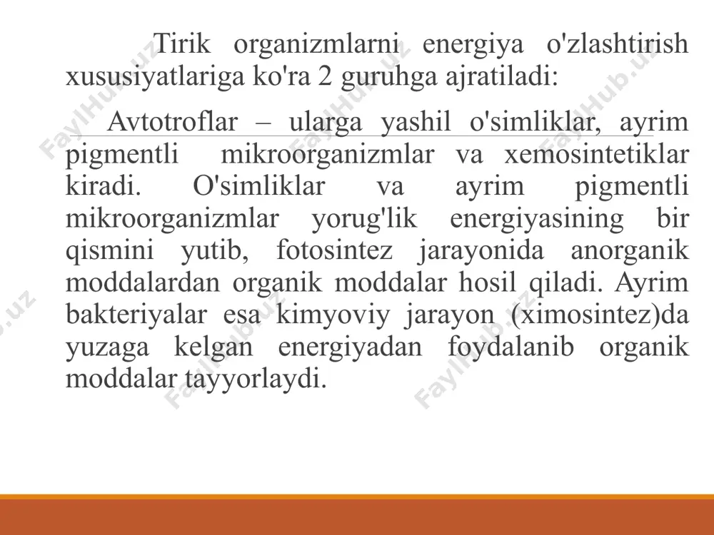 gari olimlar ham mazkur jarayonni o'rganishda katta yutuqlarga erishdilar. yer sharidagi suv va quruqlikdagi yashil o'simliklar yil davomida 174 mlrd. tonna co2 o'zlashtirib, 450 mlrd. tonna organik modda va 500 mlrd. tonna o2 ajratadi va o'simliklarning kosmik ahamiyatini belgilaydi: o'simliklar yorug'lik energiyasi hisobiga suv va co2 ni o'zlashtirib kimyoviy energiyaga boy organik moddalarni sintezlaydi. bu moddalar geterotrof hayot kechiruvchi organizmlar uchun oziq moddalar bo'lib xizmat qiladi. aerob sharoitda hayot kechiruvchi geterotrof va avtotrof organizmlarni nafas olish uchun zarur bo'lgan o2 bilan ta'minlaydi. atmosferadagi co2 miqdorini bir me'yorda saqlab turadi. fotosintez jarayoni faqat xlorofill molekulasi saqlovchi barg va qisman yosh novda to'qimalarida sodir bo'ladi. xlorofill elipssimon, duksimon, dumaloq, va boshqa shakllardagi xloroplastlarda joylashgan. bir hujayrada o'rtacha 20-50 donagacha xloroplast bo'ladi. hajmi 3-10 mkm (mikron)dir. ayrim olimlarning fikricha xloroplastlar va mitoxondriylar yadro po'stidan ajralib chiqqan initsial tanacha bo'lakchalaridan hosil bo'ladi. xloroplastlar juda murakkab tuzilgan: po'sti 2 qavat membranadan tashkil topgan. po'stida mayda …