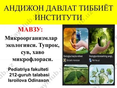 mikroorganizmlar ekologiyasi — PPTX