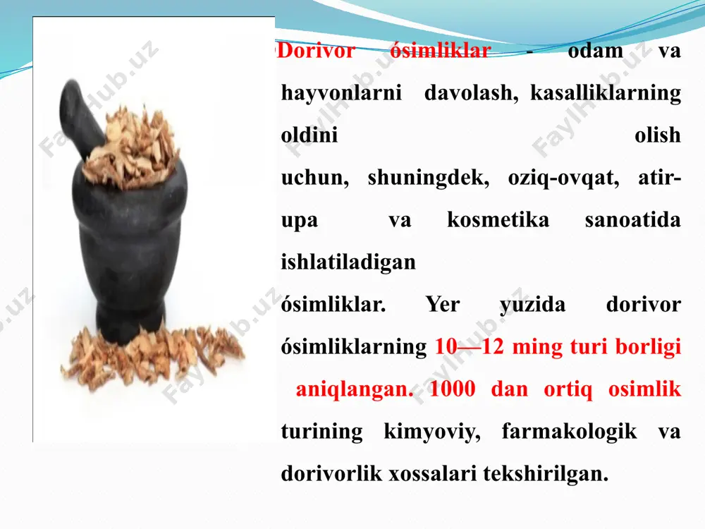 etishtirish, qayta ishlash va mavjud resurslardan oqilona foydalanish chora-tadbirlari to‘g‘risida”gi pq-4670-son qarori sohani tubdan rivojlanishining huquqiy asoslarini yaratib berdi. ushbu qarordagi vazifalarni amalga oshirish natijasida dorivor o‘simliklarni nafaqat tabiatda yovvoyi holda terib olish, balki madaniy holda plantatsiya usulida ko‘paytirish va qayta ishlashni tashkil etish bilan shug‘ullanuvchi fermerlar va tadbirkorlar soni ham sezilarli darajada ortib bormoqda. o‘tgan davr mobaynida 9 ta dorivor o‘simliklar yetishtirish klasterlari tashkil etilib, ular tomonidan moychechak, kovrak, limono‘t, qalampir yalpiz, qizilmiya, zaʼfaron (crocus sativus l.) va boshqa dorivor o‘simliklar yetishtirilmoqda. ularning faoliyati natijasida o‘tgan 2021-yilda 4 ta xorijiy davlatga 1,7 mln aqsh dollar qiymatidagi dorivor o‘simliklar xom ashyosi va qayta ishlangan mahsulotlari eksport qilindi. dorivor osimliklarni 2 xil tasniflash qabul qilingan: 1) tásir qiluvchi moddalarning tarkibiga qarab — alkaloidli, glikozidli, efir moyli, vitaminli va boshqa 2) farmakologik korsatkichlariga qarab tinchlantiruvchi, ogriq qoldiruvchi, uxlatuvchi, yurak-tomir tizimiga tasirqiluvchi, markaziy nerv sistemasini qozgatuvchi, qon bosimini pasaytiruvchi va boshqalar. dorivor osimliklarning …