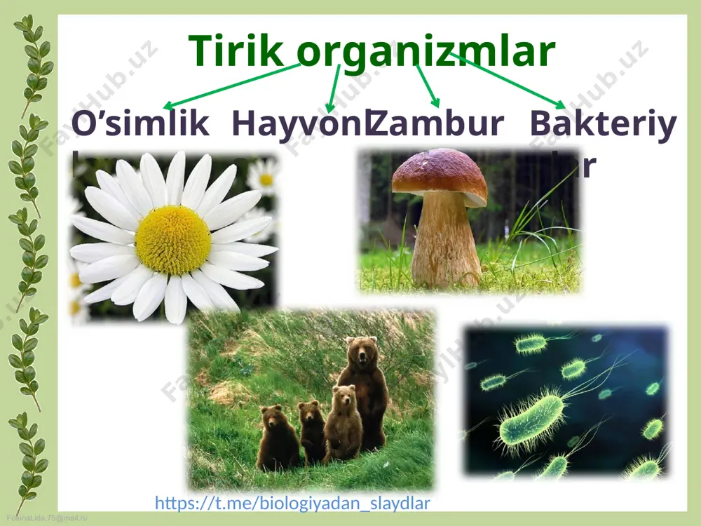 a bo’lindi? 10.o’simliklar sistematikasidaa qanday birliklar bor? https://t.me/biologiyadan_slaydlar fokinalida.75@mail.ru 1 uyga vazifa 1-topshiriq.o’simlik organlarini rasmini daftarga chizib,nomlarini yozing 2 3 4 5 1-____________ 2-____________ 3-____________ 4-____________ 5-____________ https://t.me/biologiyadan_slaydlar fokinalida.75@mail.ru 2-topshiriq. dorivor qoqio‘t va greyg lolasining o‘xshash va farqli jihatlarini aniqlang. ma’lumotni venn diagrammasi shaklida taqdim eting. greyg lolasi dorivor qoqio’t https://t.me/biologiyadan_slaydlar fokinalida.75@mail.ru image3.jpeg image4.png image5.jpeg image6.jpeg image7.jpeg image8.jpeg image9.jpeg image10.png image11.png image12.jpeg image13.jpeg image14.jpeg image15.jpeg image16.png image17.jpeg image18.png image19.jpeg image20.png image21.jpeg image22.jpeg image23.jpeg image24.jpeg image25.jpeg image26.jpeg image27.jpeg image28.png image29.png image30.jpeg image31.jpeg image32.jpeg image33.jpeg image34.jpeg image35.jpeg image36.png image1.jpeg image2.jpeg /docprops/thumbnail.jpeg