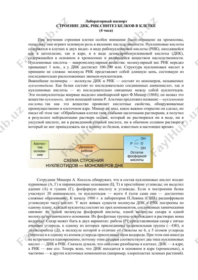 лабораторный паспорт — DOCX