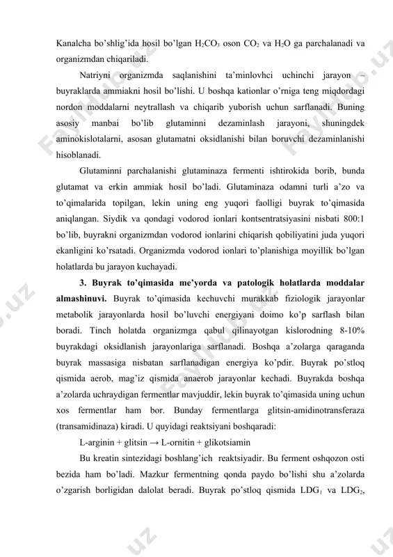 xos fermentlar ham bor. bunday fermentlarga glitsin-amidinotransferaza (transamidinaza) kiradi. u quyidagi reaktsiyani boshqaradi: l-arginin + glitsin → l-ornitin + glikotsiamin bu kreatin sintezidagi boshlang’ich reaktsiyadir. bu ferment oshqozon osti bezida ham bo’ladi. mazkur fermentning qonda paydo bo’lishi shu a’zolarda o’zgarish borligidan dalolat beradi. buyrak po’stloq qismida ldg1 va ldg2, mag’iz qismida esa ldg5 va ldg4 uchraydi. buyrakning o’tkir yetishmovchiligida qon zardobida ldg1 va ldg2 faolligi ortadi. alaninaminopeptidaza (aap) izofermentlarini faolligini aniqlash ham muhim ahamiyatga ega. aap ning 5 ta izofermenti mavjud bo’lib, aap3 buyraklarda uchraydi. buyrak to’qimasi jarohatlanganda qonda va siydikda bu ferment mavjudligi aniqlanadi. buyrak kasalliklarini tashxis qilishda siydikdagi fermentlar faolligini tekshirish ham muhimdir. buyrakni o’tkir yallig’lanish jarayonlarida koptokcha membranalarini o’tkazuvchanligi ortadi. bu hol oqsil, shuningdek, fermentlarni siydik bilan chiqarilishiga olib keladi. umuman, buyrak to’qimasida modda almashinuvini o’zgarishi koptokchada qon aylanishini blokadasi, filtratsiya va reabsorbtsiyani buzilishi, siydik chiqarilishini blokadasi, sekretsiyani buzilishi va boshqalar bilan chaqirilishi mumkin. 4. siydikning kimyoviy …