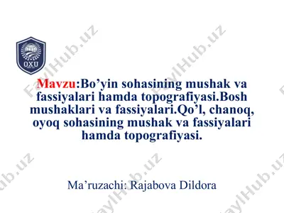 bo’yinsohasining mushak va fassiyalari hamda topografiyasi — PPTX