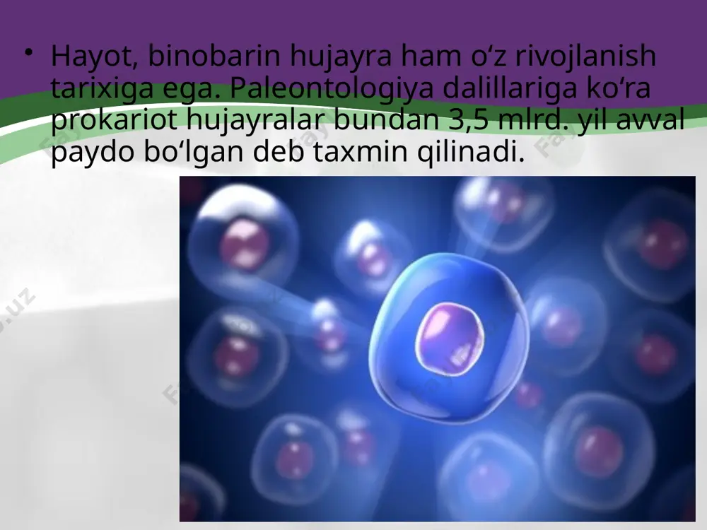 d roning qo‘sh membranalarining kelib chiqishini oson tushuntirib beradi. boshqa yana bir gipotezaga ko‘ra eukariot hujayralar genomning ayrim elementlarini to‘planishi tufayli paydo bo‘lgan deyiladi. bu gipotezaning asosida ham qandaydir prokariot hujayra bo‘lib, uning ko‘p genomlari ayrim pufakchalarga bo‘linib, hosil bo‘lgan qismlar ma’lum funksiyalarni bajarishga moslashgan. ko‘p genomli taxmin haqiqatga yaqin bo‘lib, yadro va sitoplazmani plastik jarayonlarni o‘xshashligi bilan isbotlanadi. savol va topshiriqlar hujayra evolutsiyasi deganda nima tushuniladi? invaginatsiya gipotezasining mohiyati nimada? eukariot hujayraning yadrosi qanday paydo bo‘ladi? eukariot hujayrani evolutsiyasini tushintiruvchi yana qanday gipoteza mavjud? prokariot hujayralar taxminan qachon paydo bo‘lgan? image2.jpeg image1.jpeg image3.jpeg image4.gif image5.png image6.gif image7.png image8.jpeg image9.gif image10.gif image11.jpeg image12.jpeg image13.png image14.jpeg image15.jpeg sem of human embryo at 8-cell stage /docprops/thumbnail.jpeg