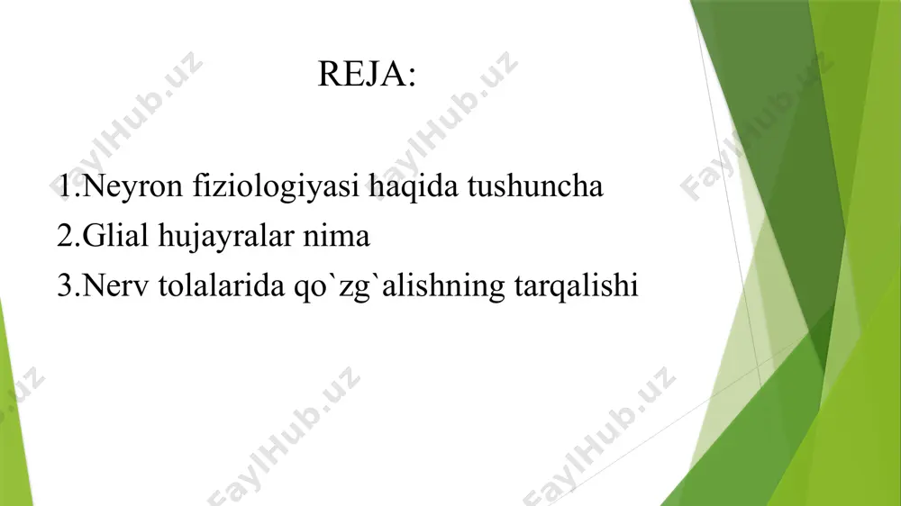 alar - neyronning energetik ehtiyojini ta'minlaydi. ular hujayra ichi nafasida muhim ahamiyat kasb etadi. neyronlar zo'r berib ishlaganda ularning miqdori ortadi. neyrotrubkalar - neyron somasiga kirib turib, axborotlarni saqlashda va uzatishda ishtirok etadi. neyron yadrosi - teshikli, ikki qavatli membrana bilan o'ralgan bo'ladi. teshiklar orqali nukleoplazma va sitoplazmalar o'rtasida moddalar almashinuvi ro'yobga chiqadi. yadroda genetik m aterial b o 'lib , bu apparat hujayraning shakllanishini, boshqa hujayralar bilan aloqasini ta'minlaydi. yadrochada - ko'p miqdorda rnk bo'ladi va yupqa qavat dnk bilan qoplangan bo'ladi dendritlar - neyronning asosiy qabul qiluvchi maydoni bo'lib, dendrit membranasi va hujayra tanasining sinaptik qismi, elektr potensiali o'zgarishi bilan kechadigan nerv oxiridan ajraladigan mediatorlarga sezgirdir. odatda, neyronda bir muncha shoxlangan dendritlar bo'ladi. bunday shoxlanishning ahamiyati shundan iboratki,. neyron axborot tizim bo'lganligi uchun axborotlar kirishi ko'proq bo'lishini ta’minlaydi. akson-neyronning o'simtasi bo'lib, uning eng muhim funksiyasi dendritlar tomonidan yig'ilgan, tanasida qayta ishlangan va akson bo'rtig'i orqali o'tkaziladigan axborotlarni ishchi …