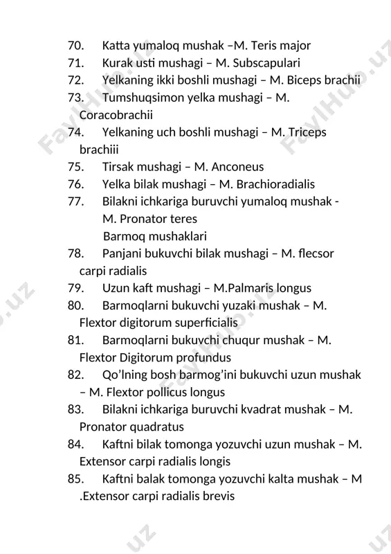 muskullar sistemasi – sisytem muscularis - Page 5