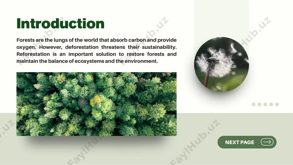 and slows the rise in global temperatures. effective reforestation techniques there are various reforestation techniques that can be used depending on land conditions, climate, and the tree species to be planted: direct planting seed distributionnatural greening explain more about effective reforestation techniques here. explain more about effective reforestation techniques here. explain more about effective reforestation techniques here. reforestation is an important step in restoring the environment and maintaining the balance of nature. by raising awareness and participation in reforestation programs, we can help preserve forests and combat climate change. let's contribute to a greener future by supporting reforestation initiatives. conclusion "forest conservation is not only an environmental task, but also the responsibility of our future generations." thank you! www.reallygreatsite.com