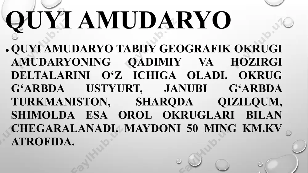 quyi amudaryo tabiiy landshaftlari - Page 4