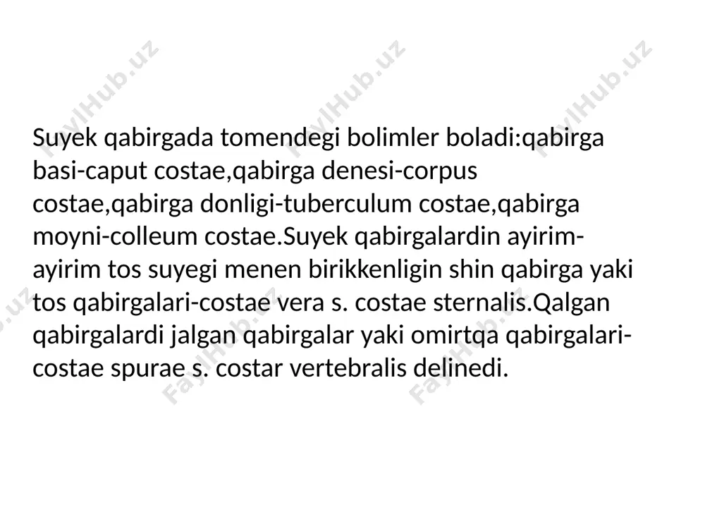 omirtqa, qabirg'a ham tos suyegining birigiwi - Page 4