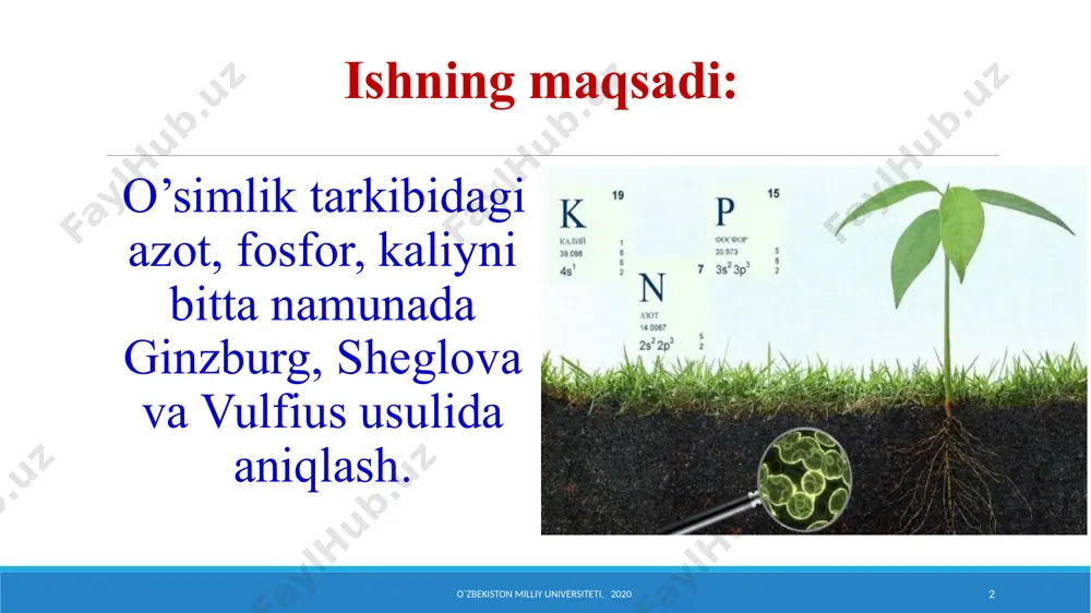 lning pishib etilishi kechikadi. shuni ham qayd etish joyizki, fosforning oshiqchaligi uning o‘simlik tomonidan o‘zlashtirilishini yomonlashtiradi. kaliy o‘simliklarda ion shaklida bo‘ladi va hujayraning organik birikmalari tarkibiga kirmaydi. u asosan sitoplazma va vakuolada bo‘ladi, yadroda esa bo‘lmaydi, 20% ga yaqin kaliy o‘simliklar xujayrasining sitoplazmasini kolloidlarida almashinuvli yutilgan holatda bo‘ladi. o‘simliklarning bargi kaliyga boy bo‘lib uning miqdori yosh barglarda qari (eski) barglardagiga nisbatan ko‘proqdir. agronomlar o‘z ish faoliyatida o‘simliklarda oziqa moddalarning miqdori ekin navi, tuproq–iqlim sharoitlari, qo‘llaniladigan mineral va maxalliy o‘g‘itlar miqdori va o‘simliklarning biologik xususiyatlariga boglik ravishda o‘zgarib turishini unutmasliklari kerak, qaysiki qishloq xo‘jalik ekinlariga belgilanadigan o‘g‘it me’yorlarini aniqlashda bu juda xam muhimdir. ishda foydalaniladigan asbob uskunalar o`zbekiston milliy universiteti, 2020 6 ishda foydalaniladigan asbob reaktivlar konsentrlangan sulfat kislota sol. massa 1,84. 57% li нсlo4 10, 50% li о‘yuvchi ishqor eritmasi 500 g naoh 1l suvda eritiladi segnet tuzining 50% li eritmasi, nessler reaktivi, 0,7405 g ammoniy xlorid. 0,02n sulfat kislota …
