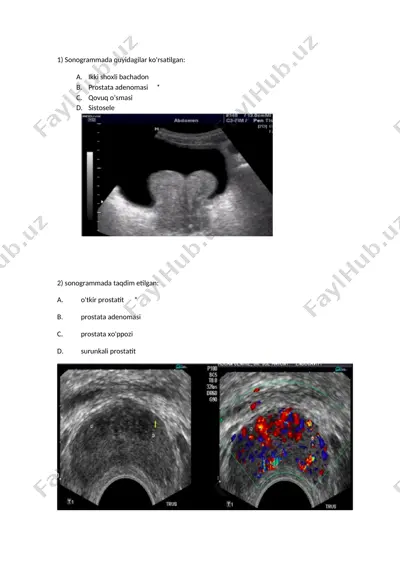 sonogramma natijalari bo'yicha erkak jinsiy tizimi xisobini olish — DOCX