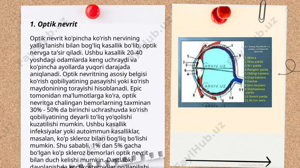 lliklari orasida ko'rish qobiliyatini yo'qotishning yetakchi sabablardan biri sanaladi. yosh o‘tishi bilan glaukoma rivojlanish xavfi ortadi, shuning uchun muntazam ko’z tekshiruvlari muhimdir. erta tashxis qo‘yish va davolash glaukoma natijasida yuzaga keladigan ko‘ruv zararini kamaytirishga yordam beradi. ko‘ruv nervi patologiyalari bahrombek umarov e'tiboringiz uchun raxmat! image1.png image2.png image3.png image4.jpg image5.png image6.jpg /docprops/thumbnail.jpeg