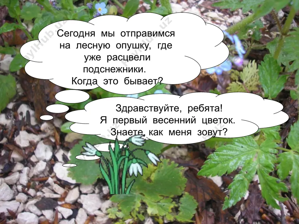 имя прилагательное. обобщение. - Page 3