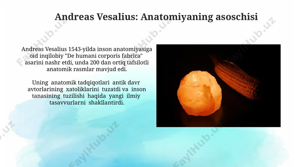 a kuzatishlar, uning qon aylanishi nazariyasini shakllantirishda muhim rol o'ynadi, bu esa anatomiya va fiziologiya sohasida yangi davrni boshlab berdi. uilyam xarvi qon aylanishining yurak markazli ekanligini, qonning bir yo'nalishda harakatlanishini va taxminan 75 marta/minut tezlikda yurakdan o'pkaga va butun tanaga aylanishini aniqladi. alexander fleming: penitsilini kashf etgan flemingning penitsilin ustida olib borgan tadqiqotlari natijasida 20-asrda antibiotiklar davri boshlandi, bu esa bakteriyalar tomonidan keltirib chiqarilgan ko'plab kasalliklarning samarali davolanishini ta'minladi. penitsilinning kashfiyotidan so'ng, jahon sog'liqni saqlash tashkiloti ma'lumotlariga ko'ra, millionlab odamlarning hayoti saqlanib qoldi va yuqumli kasalliklarning davolanishi tubdan o'zgardi. james watson va francis crick: dnk tuzilishini aniqlaganlar ularning dnk modeli 4 ta nukleotid bazasining (adenin, guanin, sitozin va timin) juftlashish printsipini aniqladi va bu genetik kodni tushunish uchun muhim asos bo'ldi. jeyms uotson va frensis krik o'zlarining kashfiyoti uchun 1962-yilda fiziologiya va tibbiyot bo'yicha nobel mukofotiga sazovor bo'lishdi, bu ularning ishlarini tan olishning eng yuqori belgisi hisoblanadi. avicenna (ibn …