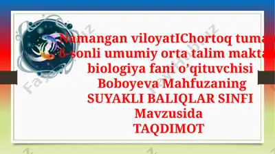 suyakli baliqlar sinfi taqdimoti — PPTX