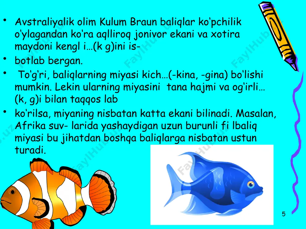 asos va qo’shimchalar imlosi 5-sinf - Page 5