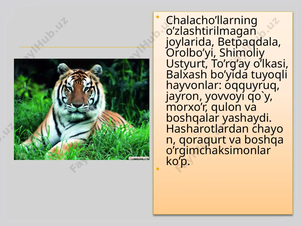 hayvonot dunyosi va uni tabiatdagi ahamiyati - Page 5