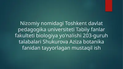 nargisdoshlar oilasi — PPTX