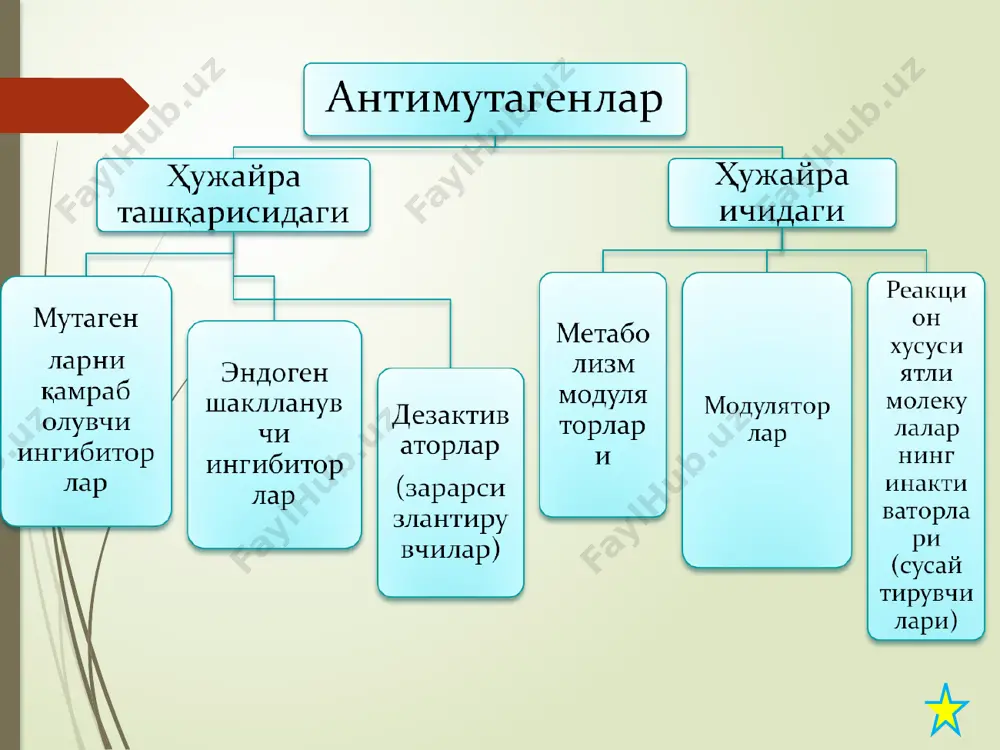 идинг инсест панмиксия киради ҳар хил генотипли шахсларнинг эркин никохи белгилари билан фарқланадиган шахслар никохи: соғлом – кар-соқов ўхшаш белгили шахслар ўртасидаги никох: кар-соқовлар, пакана бўйлилар 23 odam genetikasi ilmiy-tekshirish usullari geniologik usul sitogenetik usul ontogenetik usul egizaklar usuli populyatsion genetic usuli dermetoglifika usuli biokimyoviy va molekulyar genetic usuli immunogenetik usul товондаги чизиқлар йўналишини ўрганиш 60% трирадиус -делта йўқ бармоқларда тери изларини ўрганиш ёйсимон daktiloskopiya плантоско пальмоскопия айланасимон илгаксимон битта трирадиусли -делтали иккита трирадиусли -делтали 6% 34% қўл кафтидаги чизиқлар, трирадиуслар, adt бурчакни ўрганиш. atd бурчак кенглиги клайнфельтер синдромида-42 соғлом одамда 57 шерешевский тернер синдромида-66 даун синдромида 90-80 дермотоглифика текшируви турлари dermatoglifika- (derma-teri,gliyphe-chizish)usuli – qo’l barmoqlari,kaft va tovon terisi relyefini o’rganishdan iborat. mazkur joylardagi epidermis tananing boshqa qsmlaridan farq qilib ,o’ziga xos egatchalar yo’llarini hosil qiladi.qo’l kaftidagi va tovondagi epidermis egatchalarning joylashish tartibihar bir shaxsda individual xarakterga ega, shuning uchun ham barmoq izlarini qog’ozga tushirish ilgari imzo o’rnida qo’llanilgan. 27 …