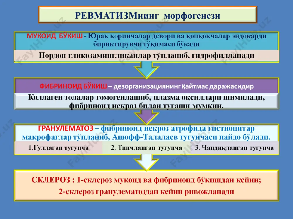 ревматизм - Page 5