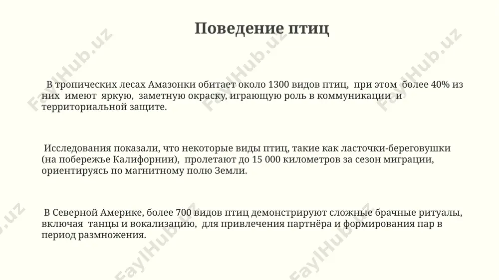 спасибо за внимание @taqdimot_robot